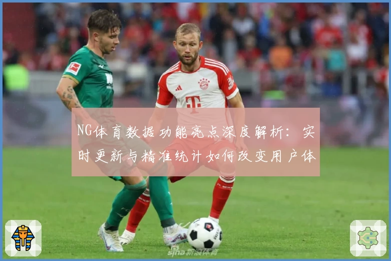 NG体育数据功能亮点深度解析：实时更新与精准统计如何改变用户体验