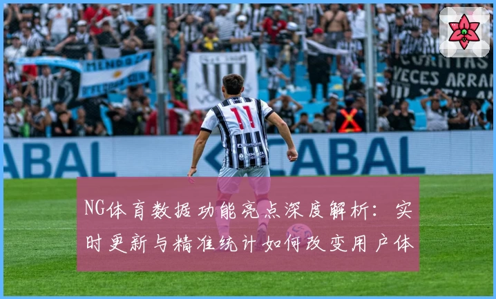 NG体育数据功能亮点深度解析：实时更新与精准统计如何改变用户体验