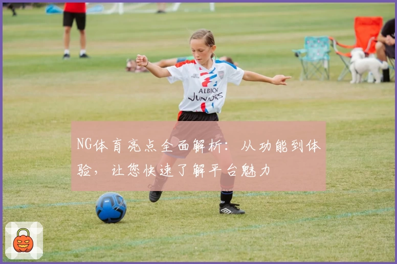 NG体育亮点全面解析：从功能到体验，让您快速了解平台魅力