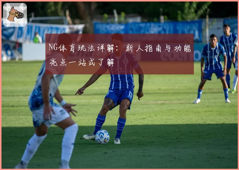 NG体育玩法详解：新人指南与功能亮点一站式了解
