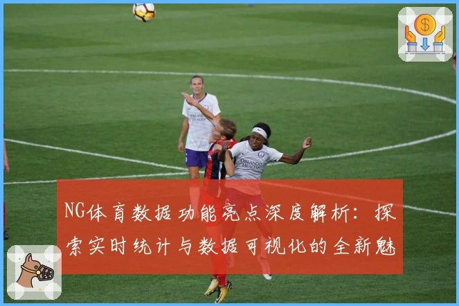 NG体育数据功能亮点深度解析：探索实时统计与数据可视化的全新魅力