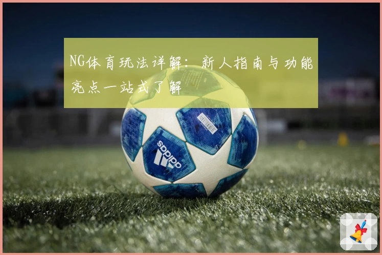 NG体育玩法详解：新人指南与功能亮点一站式了解