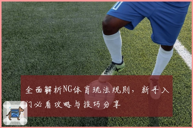 全面解析NG体育玩法规则,新手入门必看攻略与技巧分享